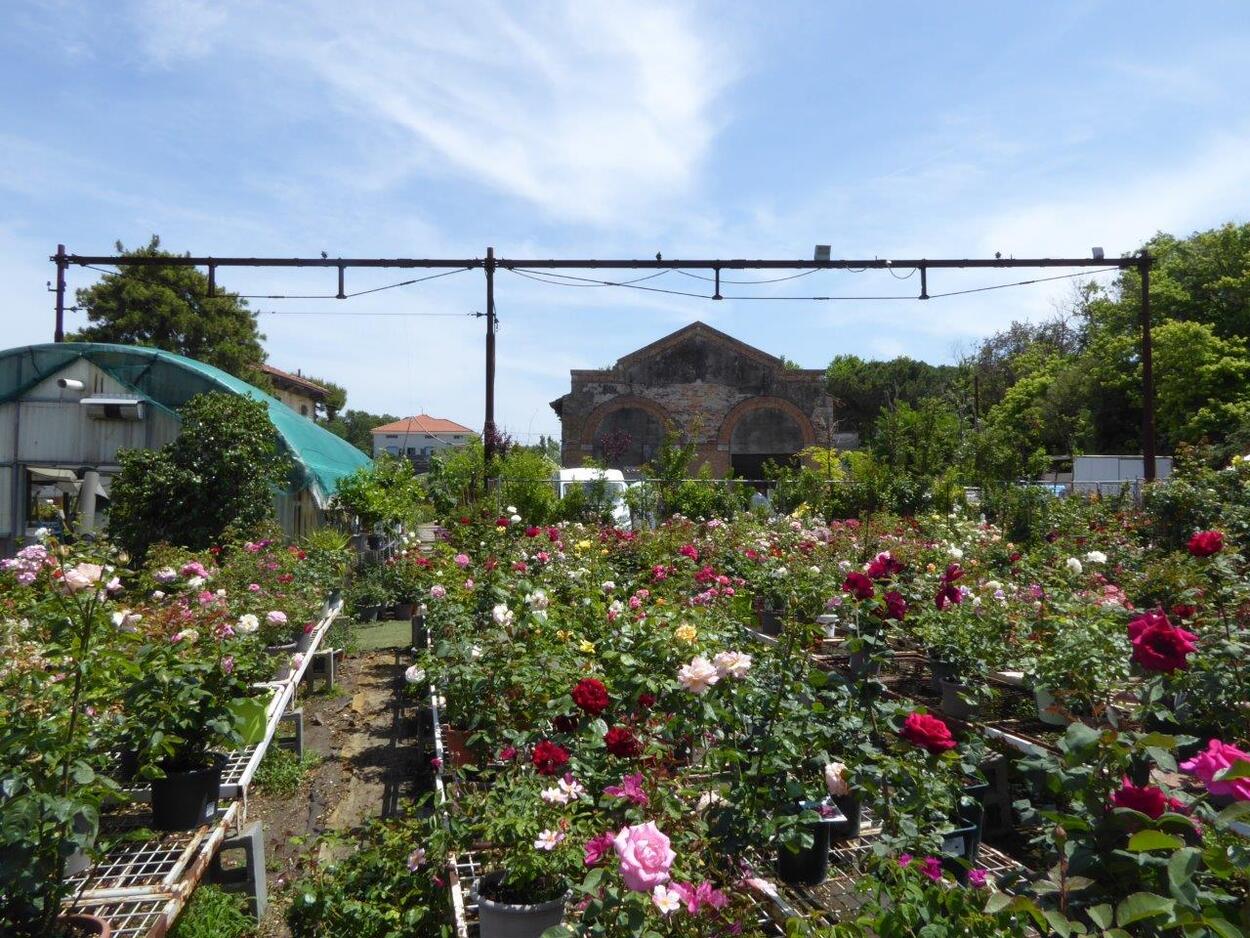 Die internationale Schmalspurbahn von Rimini nach San Marino
