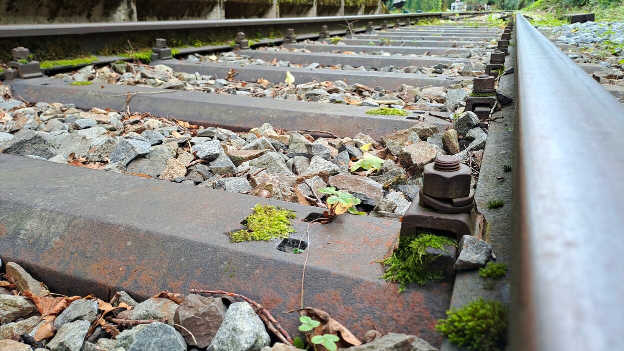 Makroaufnahme von Gleis