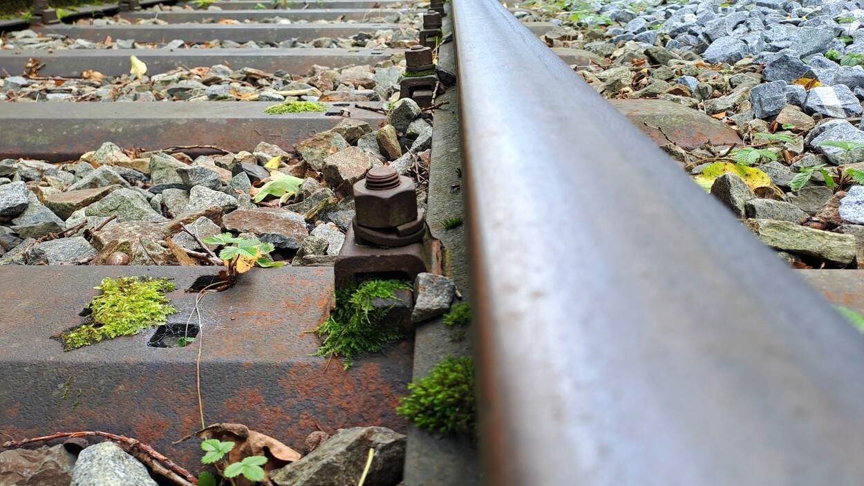 Makroaufnahme von Gleis