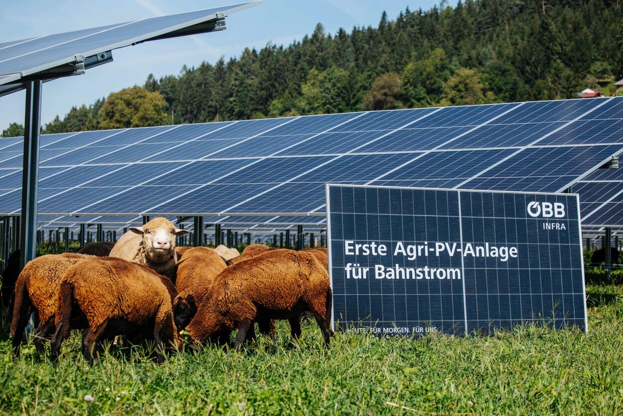Erste Agri-PV-Anlage für Bahnstrom