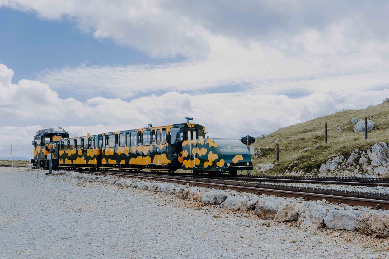 Salamander der Schneebergbahn